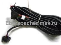 251917801000 ���� �������� ��������