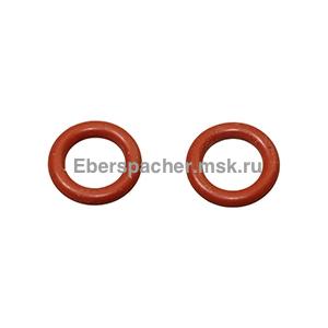 221000700009 ������ ��������� 7,0 � 2,0 (�� ������ �����������)