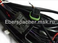 252160800700 ���� �������� (�������. ������) �������� 10, 24�