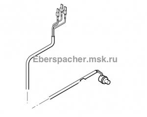 252435400300 ������������� ������ (������ ���������)