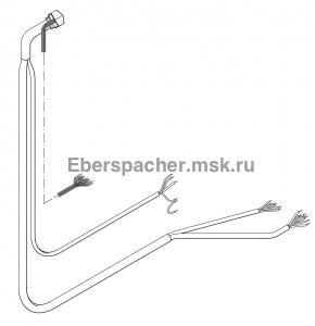 251818010100 ���� �������