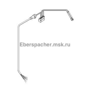 251895800300 ���� �������� 